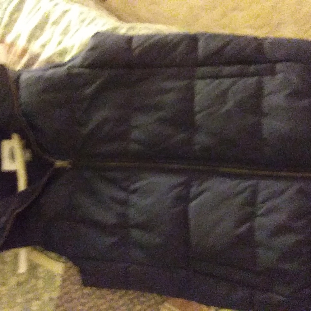 Navy blue puffer vest.  Old Navy brand.